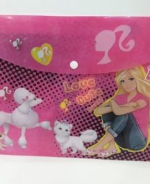 My Clear Bag with pictures